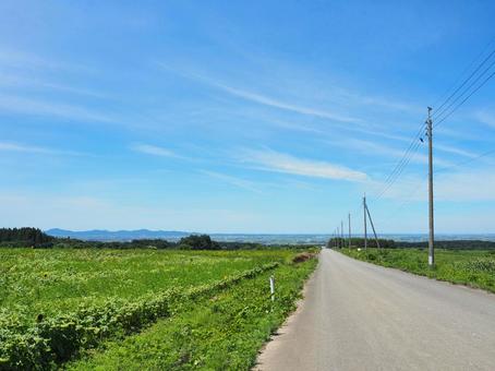 夏の景色42 夏の景色42の写真