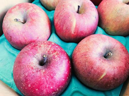 産地直送の訳ありでも美味しいリンゴ４３ りんご,産地直送,サンふじの写真素材