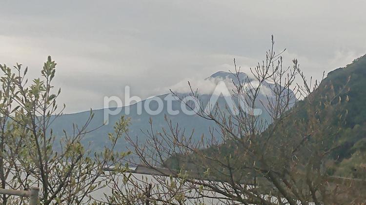 枯れ木 風景,景色,晴れの写真素材