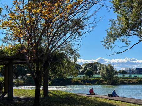 休日の公園で釣りをする人々 公園,釣り,フィッシングの写真素材