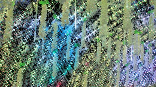 御殿場高原時之栖のイルミネーション イルミネーション,夜景,ライトアップの写真素材