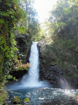 浄蓮の滝 浄蓮の滝 浄蓮の滝,伊豆,名瀑の写真素材