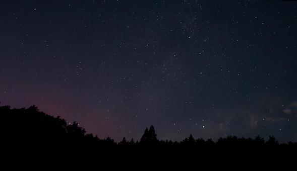 森に包まれた星空の夜 森に包まれた星空の夜 森林,木々,森の写真素材