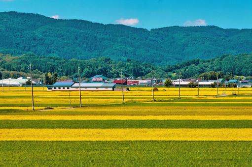 日本の里山に広がる色彩豊かな田畑 田舎,風景,田んぼの写真素材