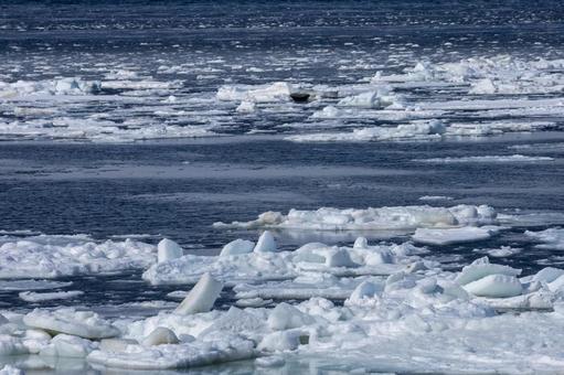 無数の流氷が漂うオホーツク海 無数の流氷が漂うオホーツク海 流氷,流氷原,驚きの写真素材