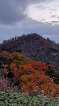 魚沼スカイラインの紅葉 紅葉,魚沼スカイライン,早朝の写真素材