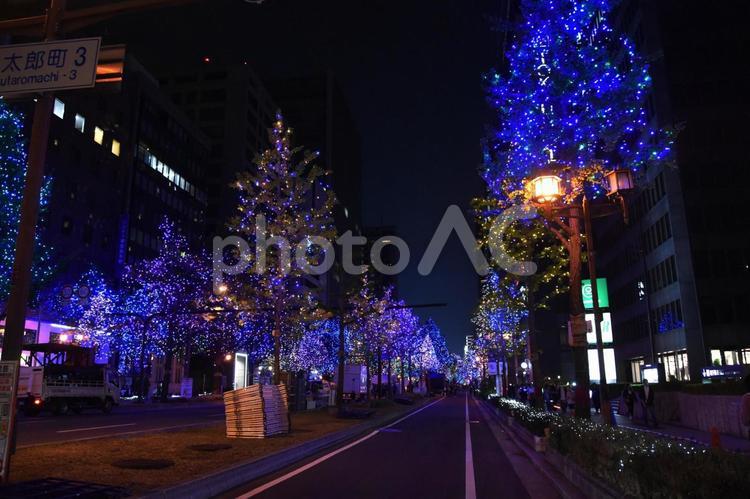 2023御堂筋イルミネーション 御堂筋,イルミネーション,夜景の写真素材