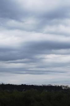 曇り空の朝 曇り空の朝の写真