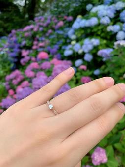 紫陽花と婚約指輪 紫陽花と婚約指輪 婚約指輪,結婚指輪,手の写真素材