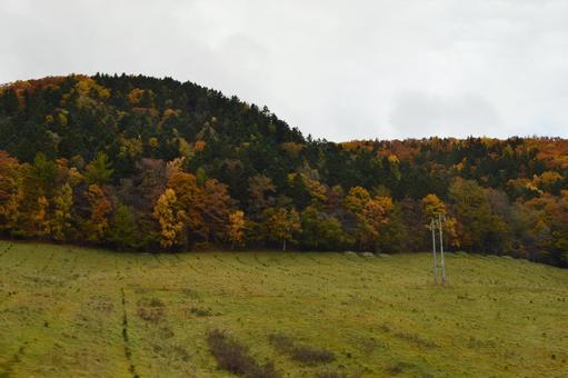 紅葉 紅葉,自然,斜里町の写真素材