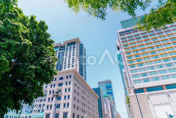 【香港】香港の街並み 香港,アジア,街並みの写真素材