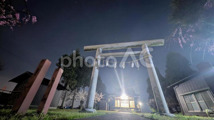 星空と桜と神社と 星空,鳥居,桜の写真素材