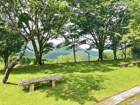 Photo, that chi sipo-cho, oyunori mountain, kumano kodo entrance, 