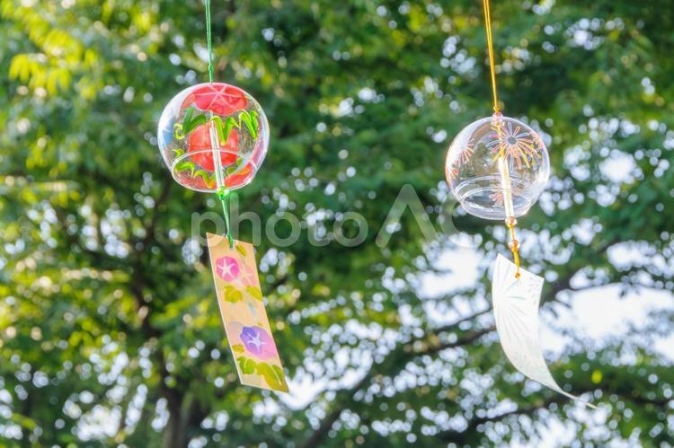 夏を彩る風鈴たち12 風鈴,夏祭り,夏の写真素材