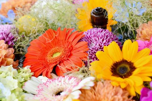 花手水 花手水,神社,手水舎の写真素材