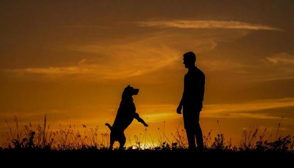 青年と犬 青年と犬の写真
