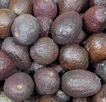 大量のアボカド 大量のアボカド アボカド,食べ物,食材の写真素材