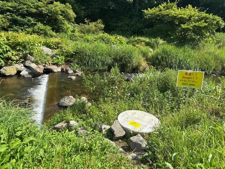 渡渉 渡渉 自然,ハイキング,8月の写真素材