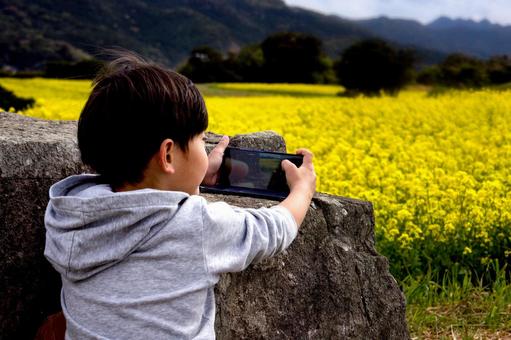 <素材>スマホで菜の花畑を撮る男の子 <素材>スマホで菜の花畑を撮る男の子 子供,菜の花,スマホの写真素材