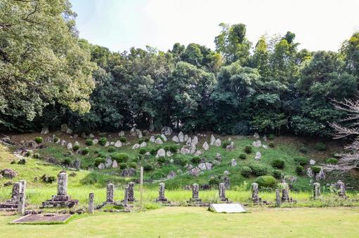 旧円融寺庭園の写真