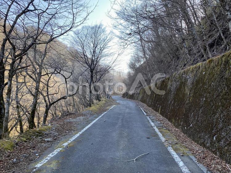 静岡県　静岡市　安倍峠付近の林道 静岡,山,登山の写真素材