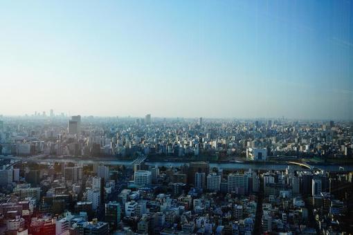 東京の景色 東京の景色の写真
