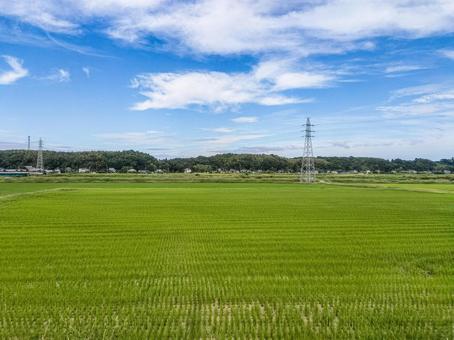 京成線車窓より 九月の佐倉市角来の田園 京成線車窓より 九月の佐倉市角来の田園 田圃,稲作,米作りの写真素材