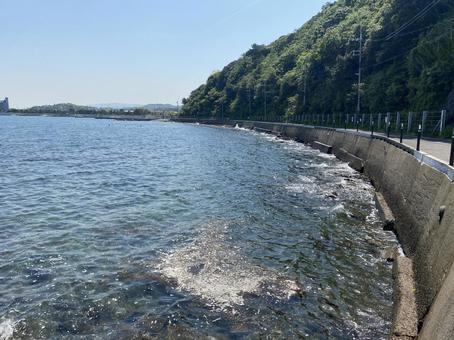 海辺 海辺の写真