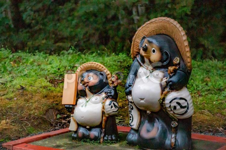 親子のタヌキの置物 たぬき,置物,親子の写真素材