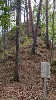 稲倉城(三の空掘)01 稲倉城(三の空掘)01 稲倉城,信州,信濃の写真素材