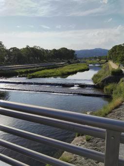 穏やかな加茂川 穏やかな加茂川の写真