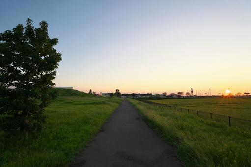 夕暮れの散歩道 夕日,夕暮れ,夕方の写真素材