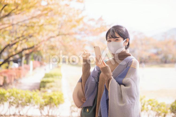 秋の公園でマスクをつけてスマホを使う女性 マスク,スマホ,スマートフォンの写真素材