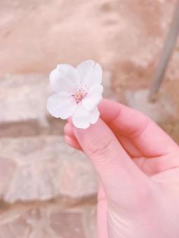 ありがとう ありがとうの写真