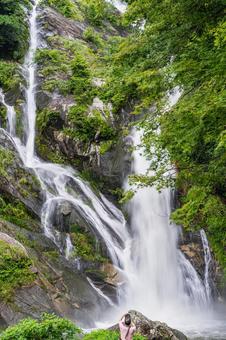 佐賀-【見返りの滝とあじさい】 佐賀-【見返りの滝とあじさい】 佐賀,唐津市,見返りの滝の写真素材
