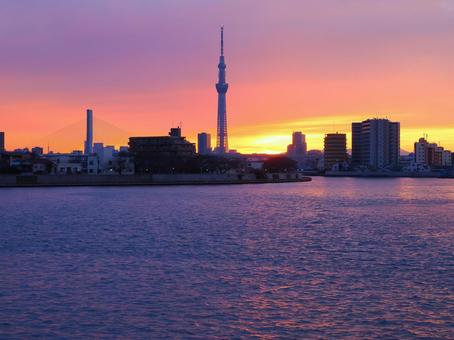 夕焼けスカイツリーが映える中川 夕焼けスカイツリーが映える中川の写真