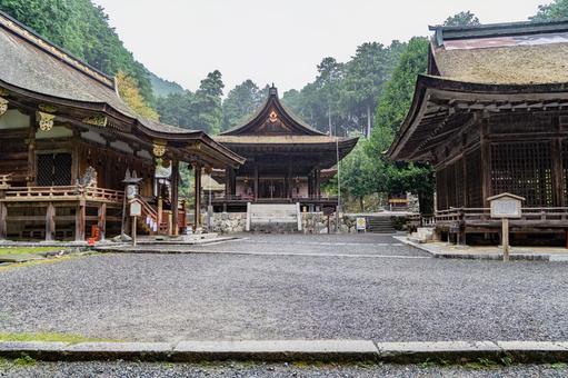 滋賀 日吉大社 東本宮 拝殿 滋賀 日吉大社 東本宮 拝殿 日吉大社,日枝社,日吉の写真素材