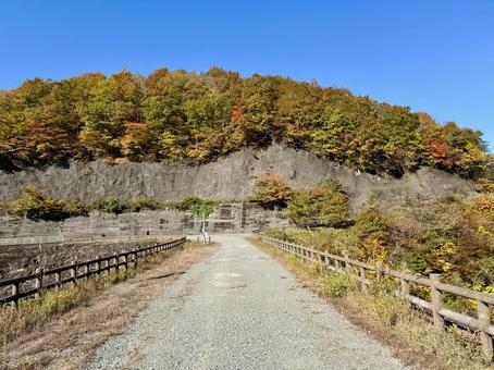 秋の福井県の九頭竜ダム　紅葉に色づく湖 秋,道路,晩秋の写真素材