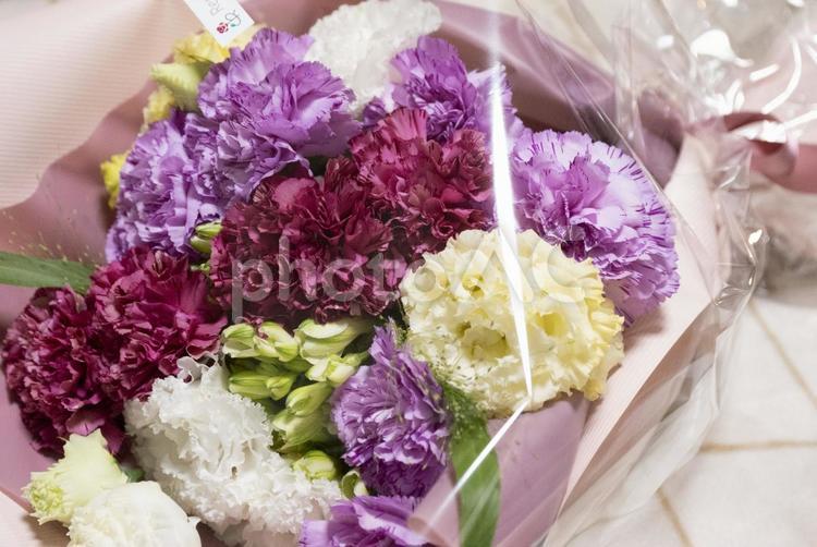 母の日に贈るカーネーションの花束 母の日,花束,カーネーションの写真素材