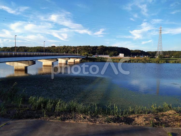 印旛沼の流れ００３ 佐倉ふるさと広場,印旛沼,流れの写真素材