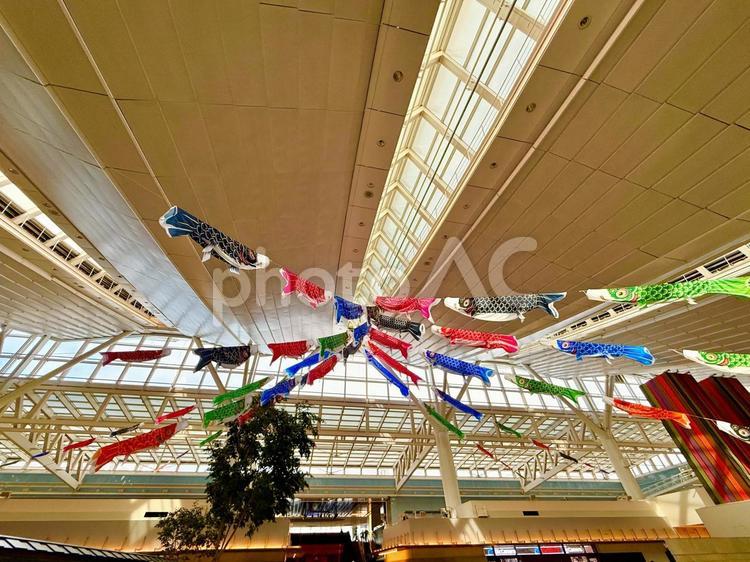 羽田空港第3ターミナルと鯉のぼり 空港,エアポート,ターミナルの写真素材