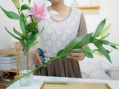 36:ゆりの花を生ける女性 36:ゆりの花を生ける女性 花,ゆり,丁寧な暮らしの写真素材