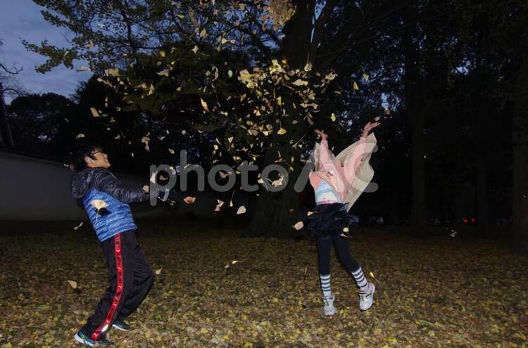 木の葉投げ 子供,木の葉,秋の写真素材