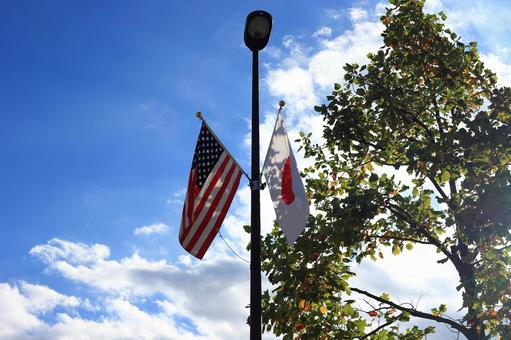 同盟国国旗の穏やかな空 アメリカ,アメリカ合衆国,日本の写真素材