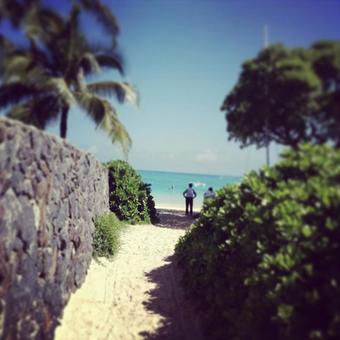 Road to the sea, trip, tropics, waters, JPG