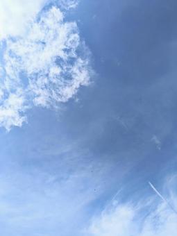 今日の空No115 今日の空No115の写真