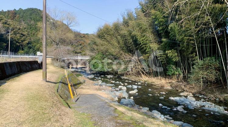 犬鳴川の自然豊かな風景 犬鳴川,川,自然の写真素材