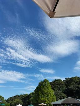 勝浦の空 勝浦の空 小豆島,晴れ,空の写真素材