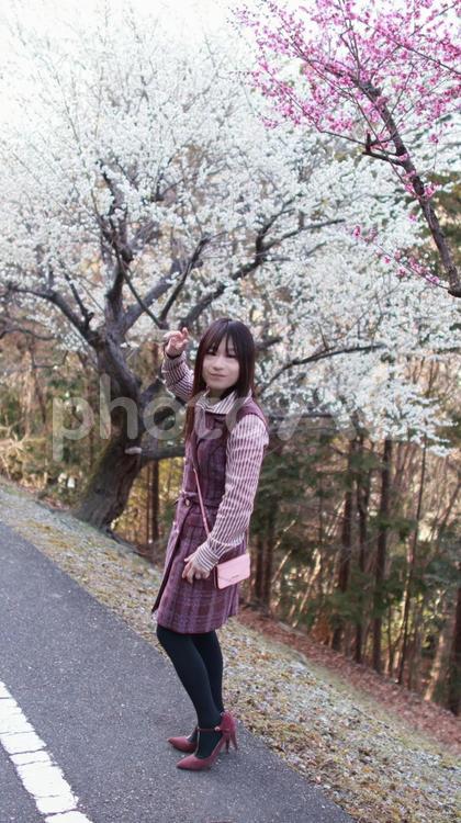 梅と佇む女性5(女装) 梅,梅の木,ワンピースの写真素材