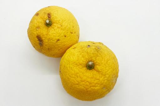 柚子 ゆず,フルーツ,ビタミンの写真素材